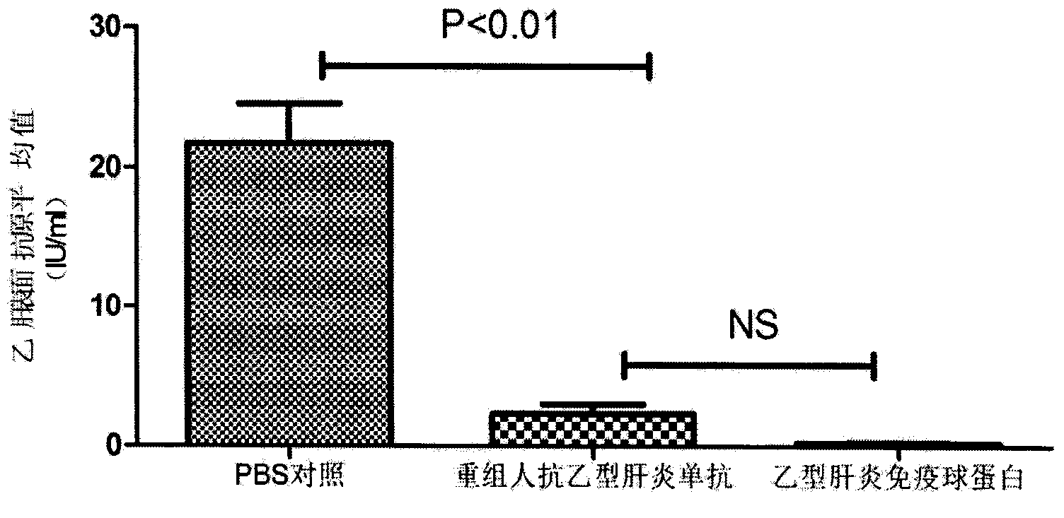 Method for detection and evaluation of biological functions of molecule and medicine and use thereof