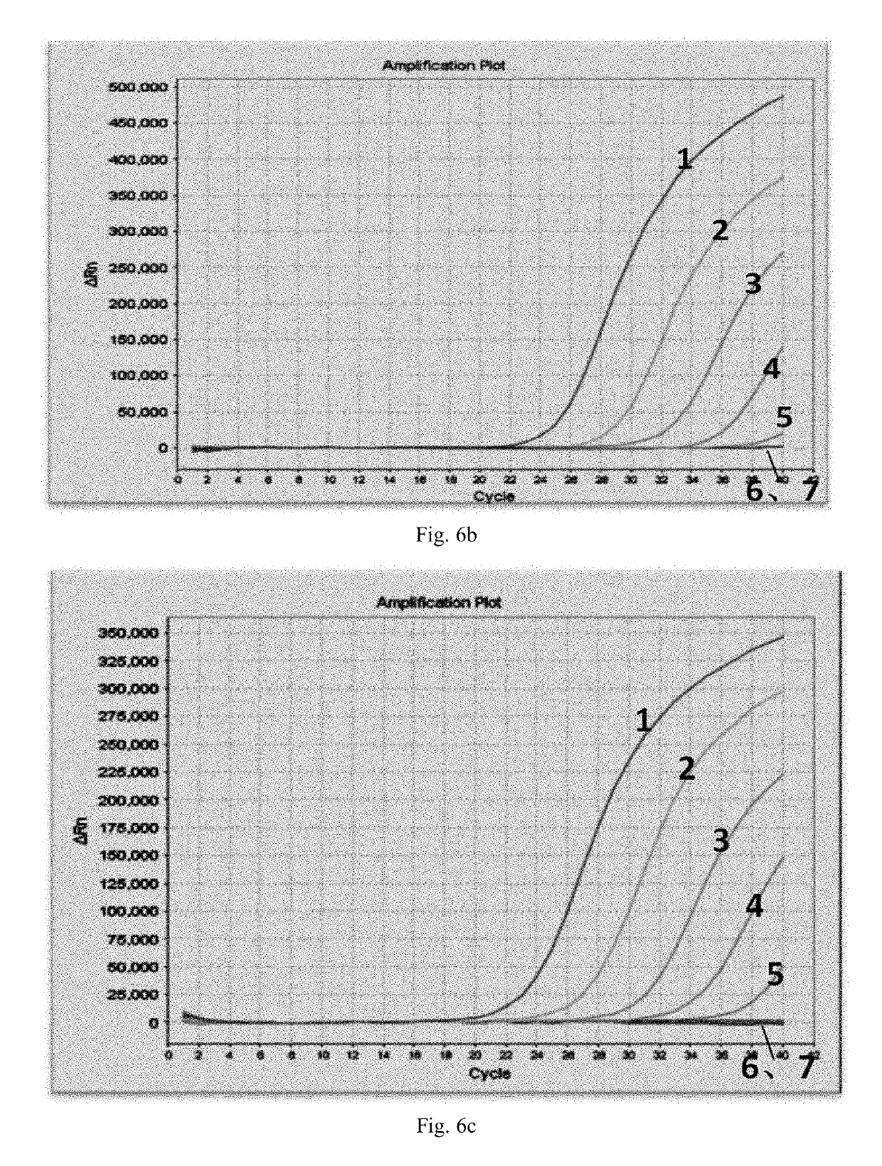 RNA reverse transcription amplification method