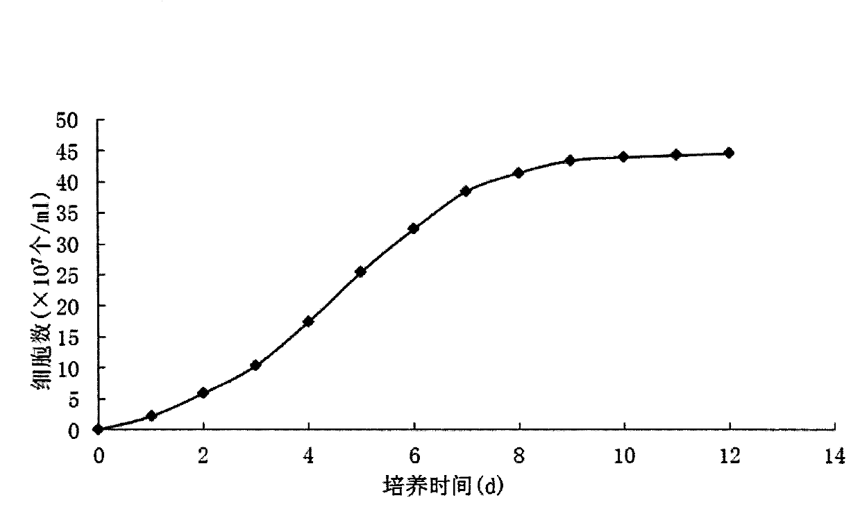 Culture method for efficiently inducing accumulation of nannochloropsis oculata fat