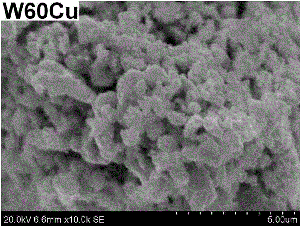 Preparation method of tungsten-copper functional gradient material