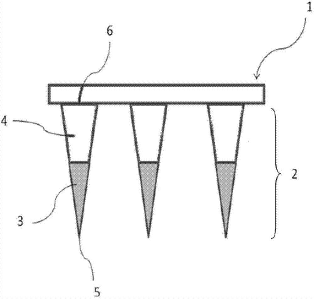 A kind of soluble microneedle vaccine patch and preparation method thereof