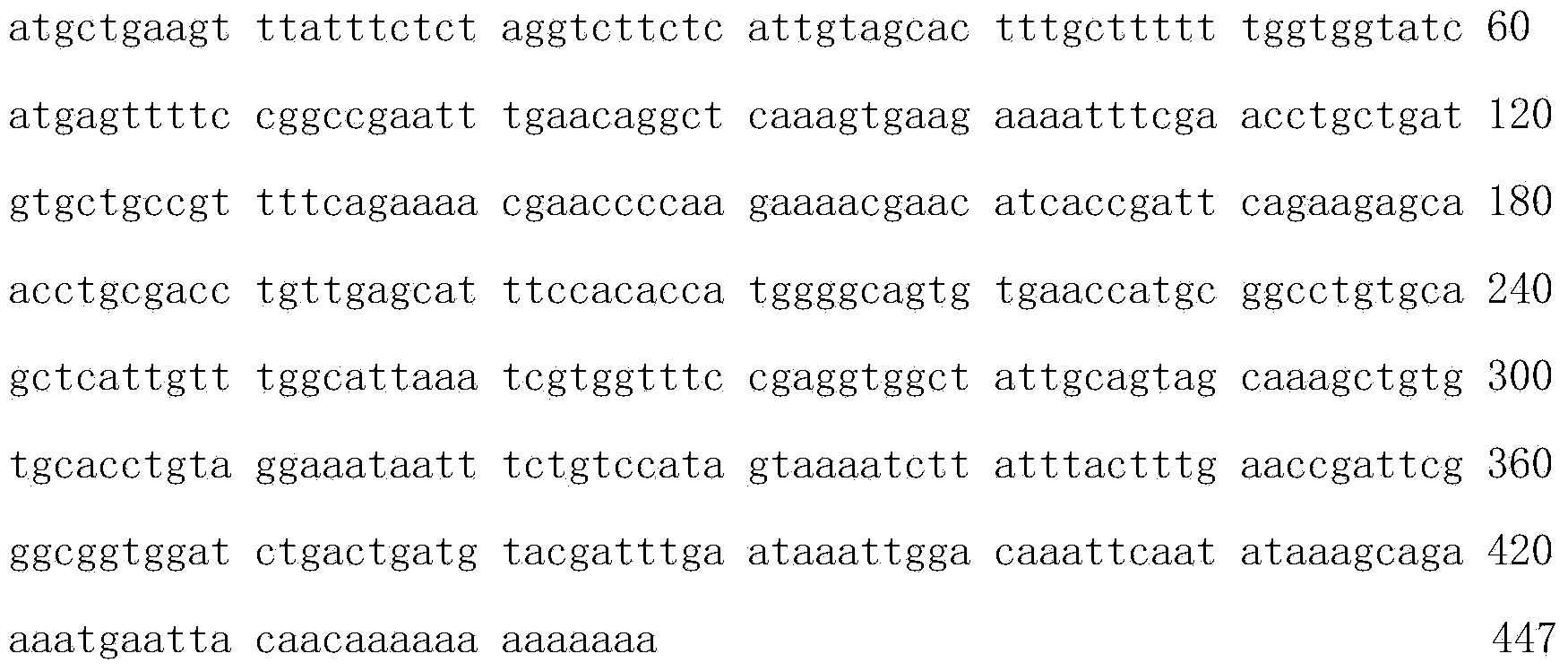 SibaDef of blood sucking insect, as well as gene and application thereof