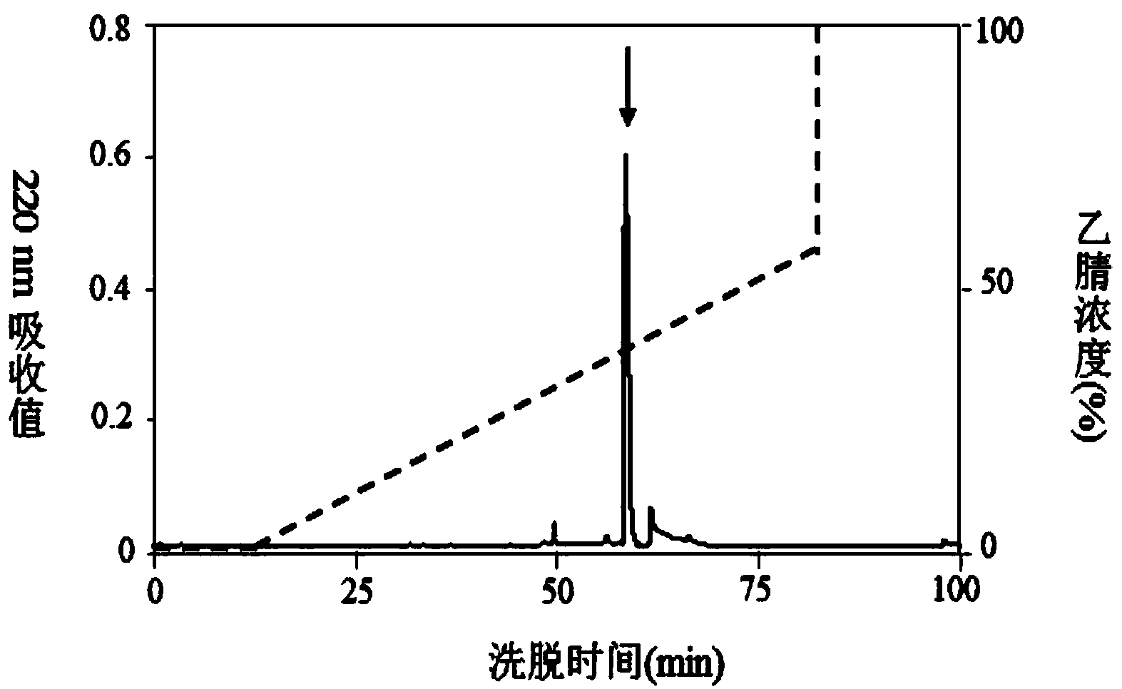 SibaDef of blood sucking insect, as well as gene and application thereof