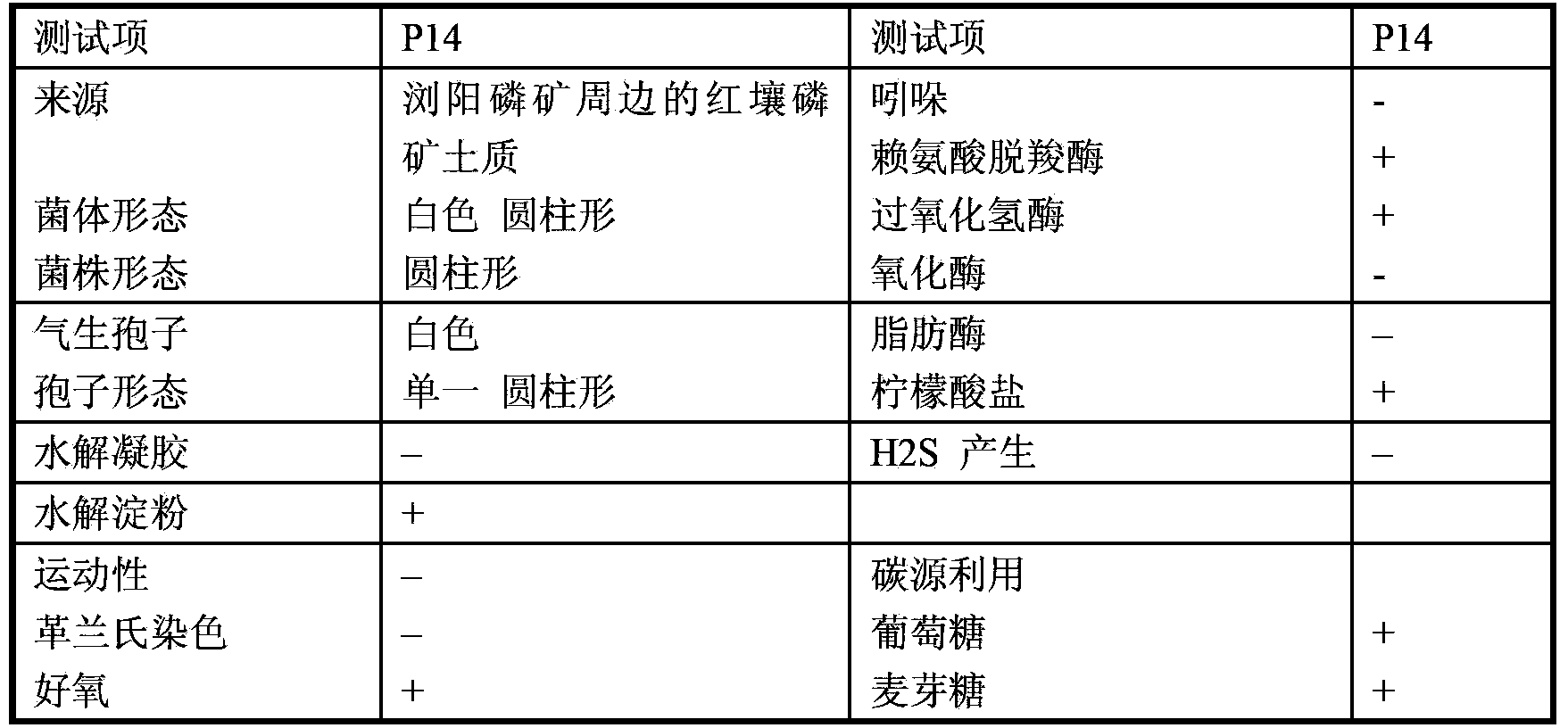 Galactomyces geotrichum P14, application method thereof, and microbial inoculum prepared from same