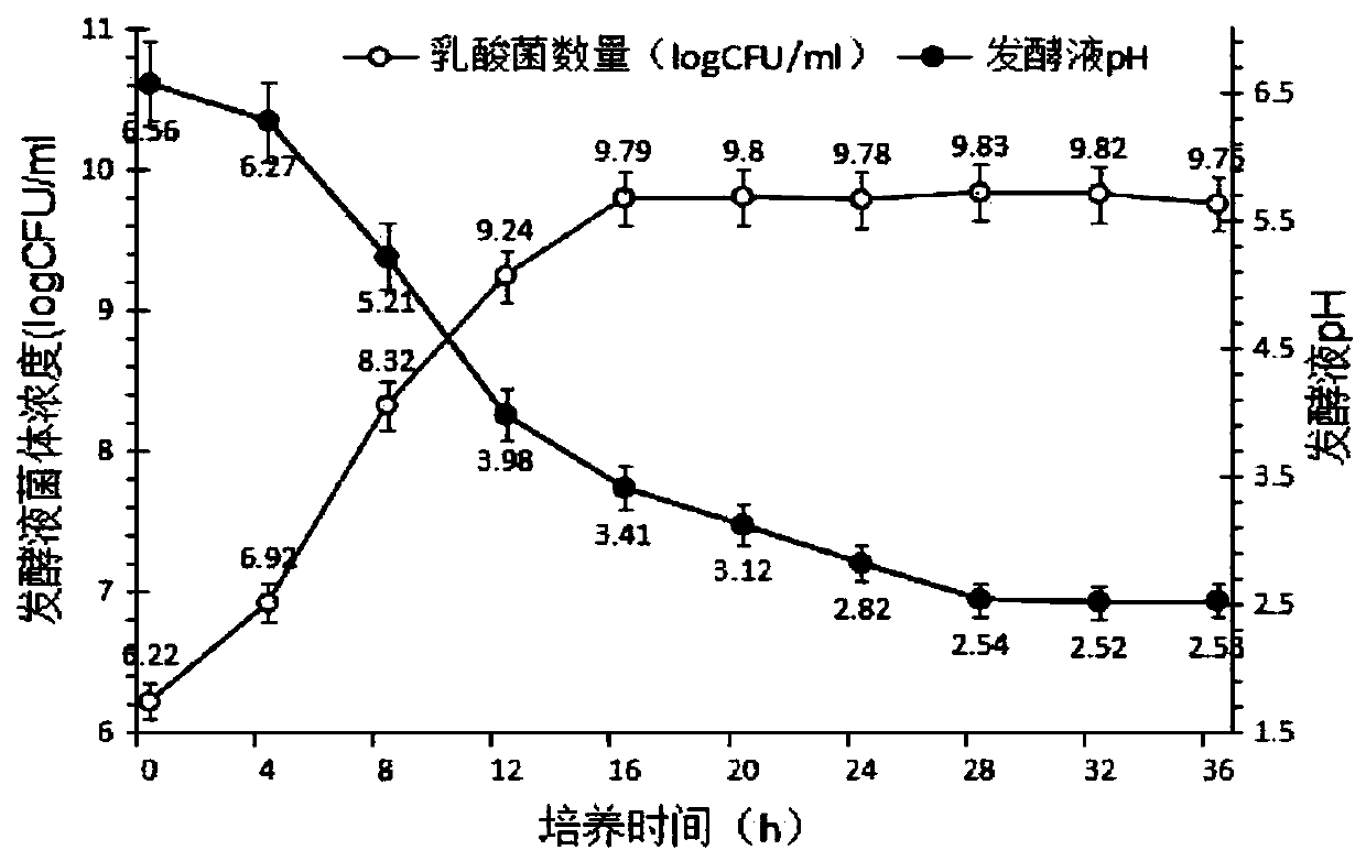 Swine-borne lactobacillus plantarum and application thereof