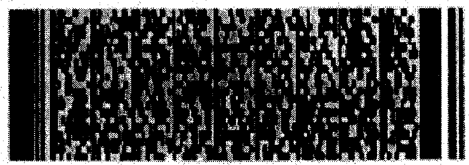 Visual electronic signature and verification method