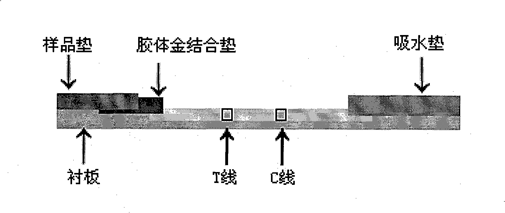 Preparation method of colloidal gold chromatography test paper for fast detecting nitrofuran metabolite