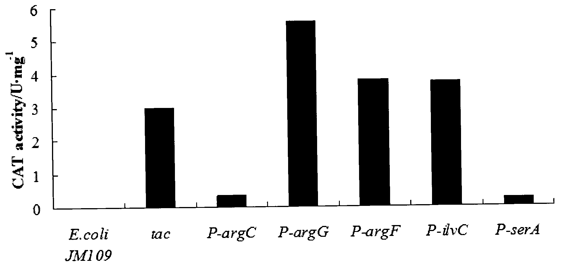 Method for screening corynebacterium crenatum endogenous high-expression promoter by using 2-DE (Two-Dimensional Electrophoresis) technique