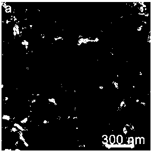 A method for rapid restoration of demineralized dentin