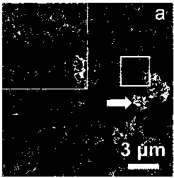 A method for rapid restoration of demineralized dentin