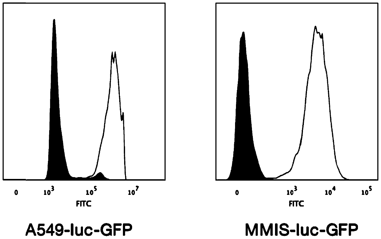 Construction and application of third-generation NKG2D chimeric antigen receptor T or NK cell