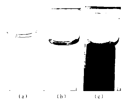 Surface modification process for improving luminance and dispersity of porous silicon