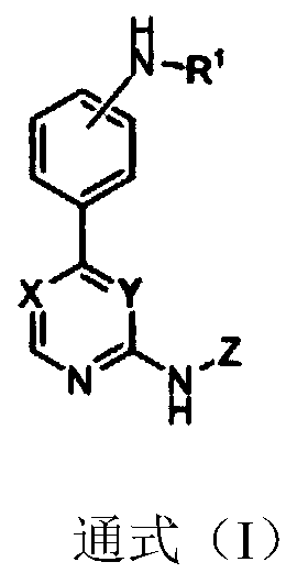 Substitutive phenyl pyrimidine derivative as JAK kinase inhibitor or medicinal salt, preparation method and application thereof