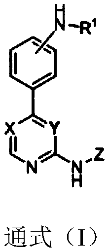 Substitutive phenyl pyrimidine derivative as JAK kinase inhibitor or medicinal salt, preparation method and application thereof