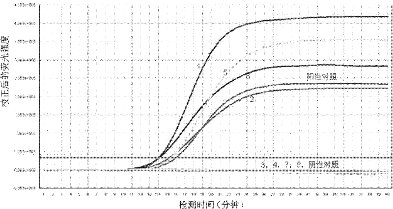 Detection kit for ureaplasma urealyticum (UU) nucleic acid by utilizing RNA constant-temperature amplification