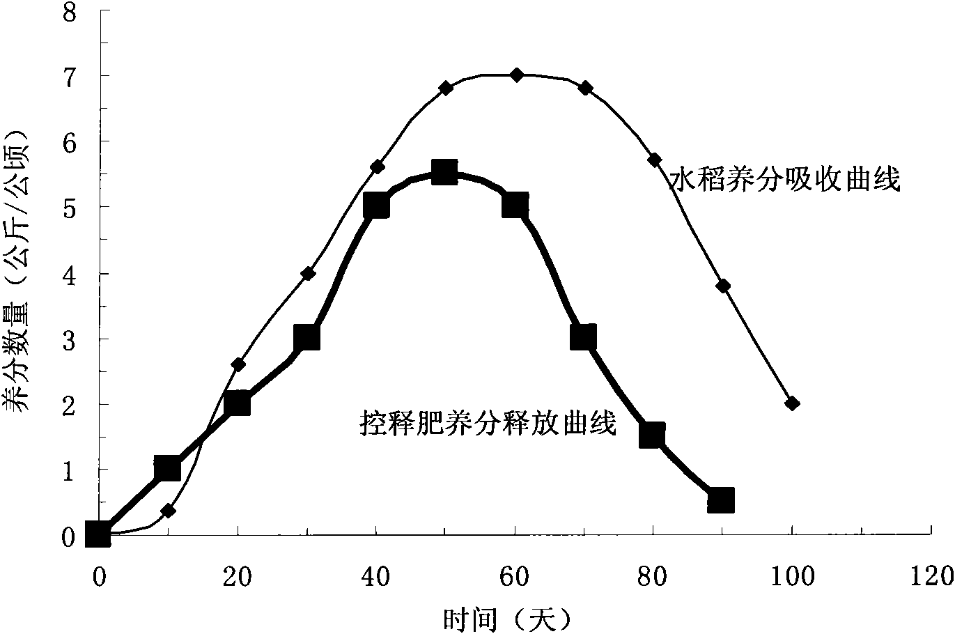 Rice special controlled-release fertilizer applied once in processes of rice transplantation and seedling culture and preparation method thereof