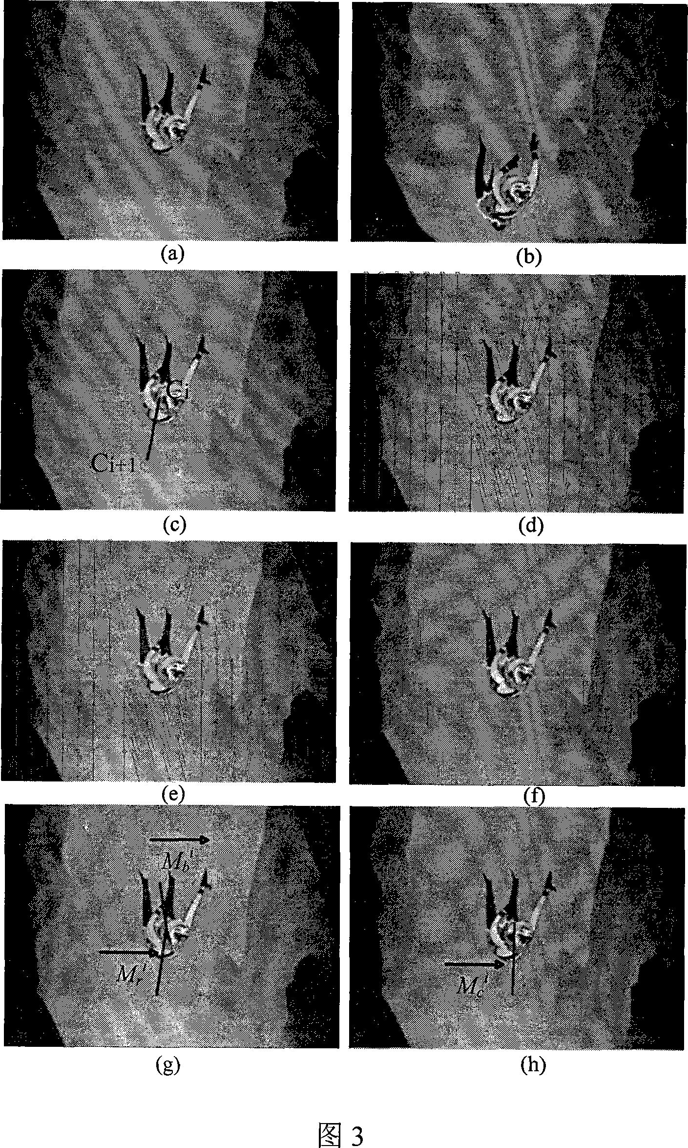 Cartoon animation fabrication method based on video extracting and reusing