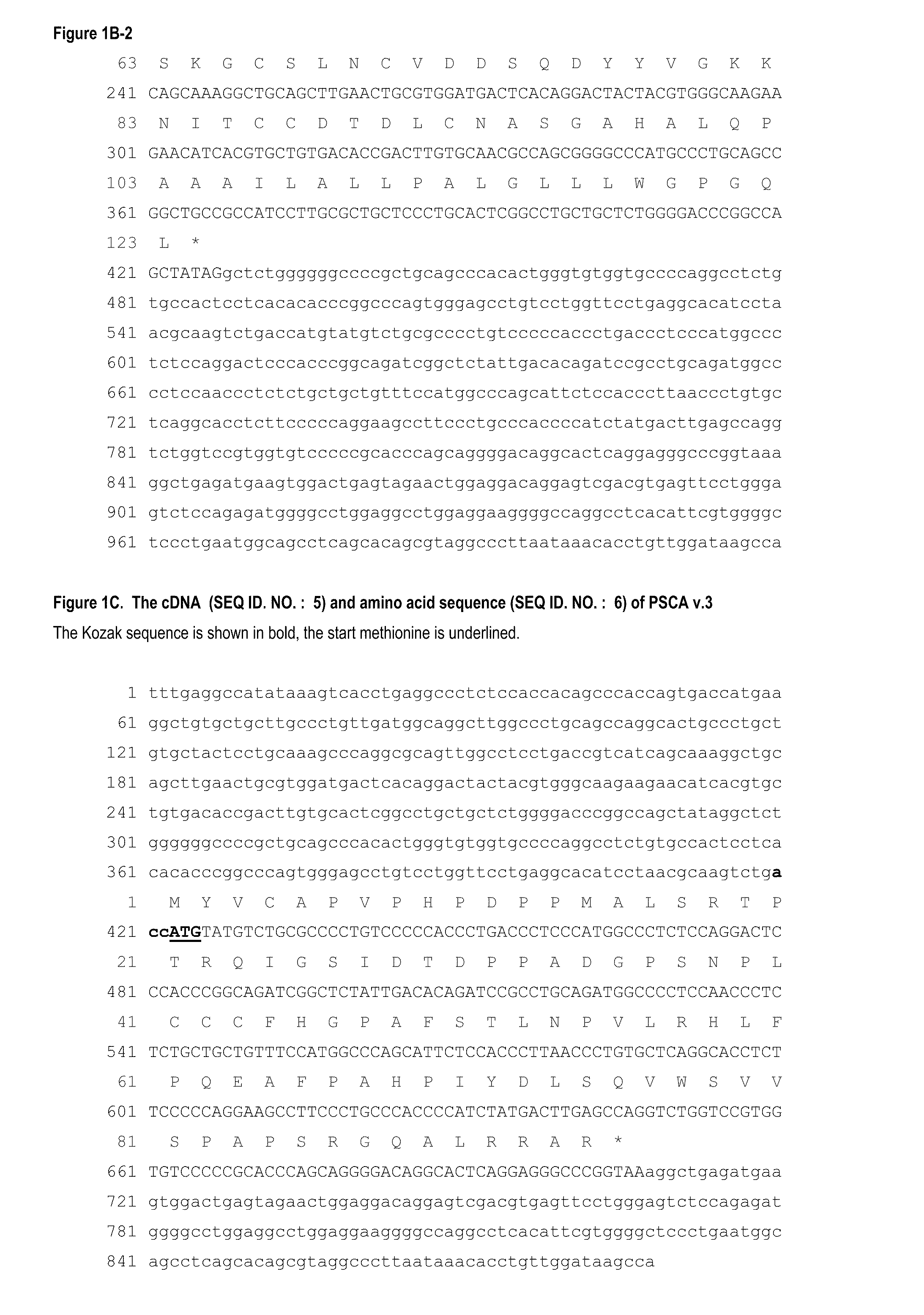 Antibodies and related molecules that bind to psca proteins