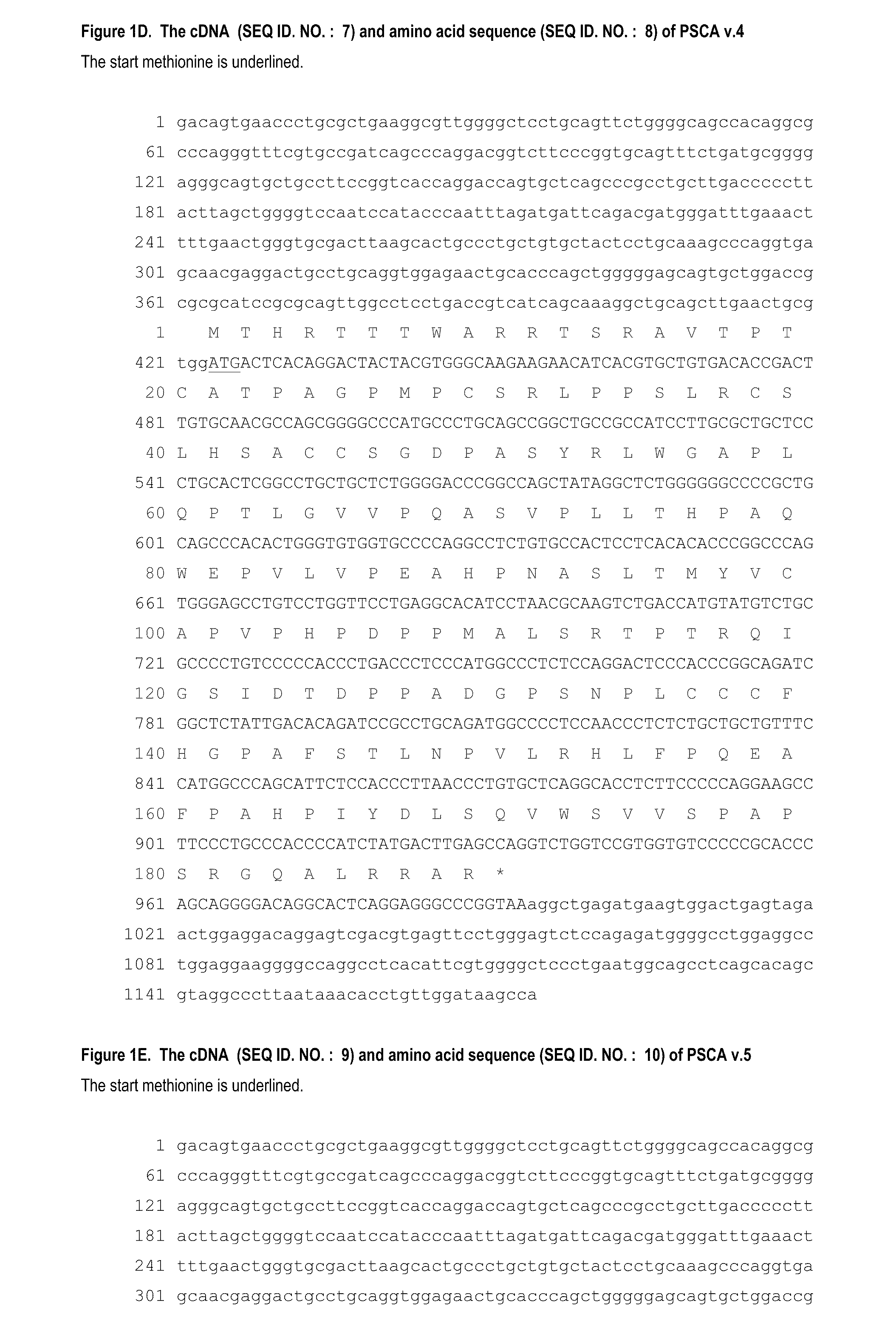 Antibodies and related molecules that bind to psca proteins