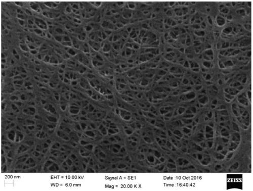 Polyolefin microporous membrane and preparation method thereof