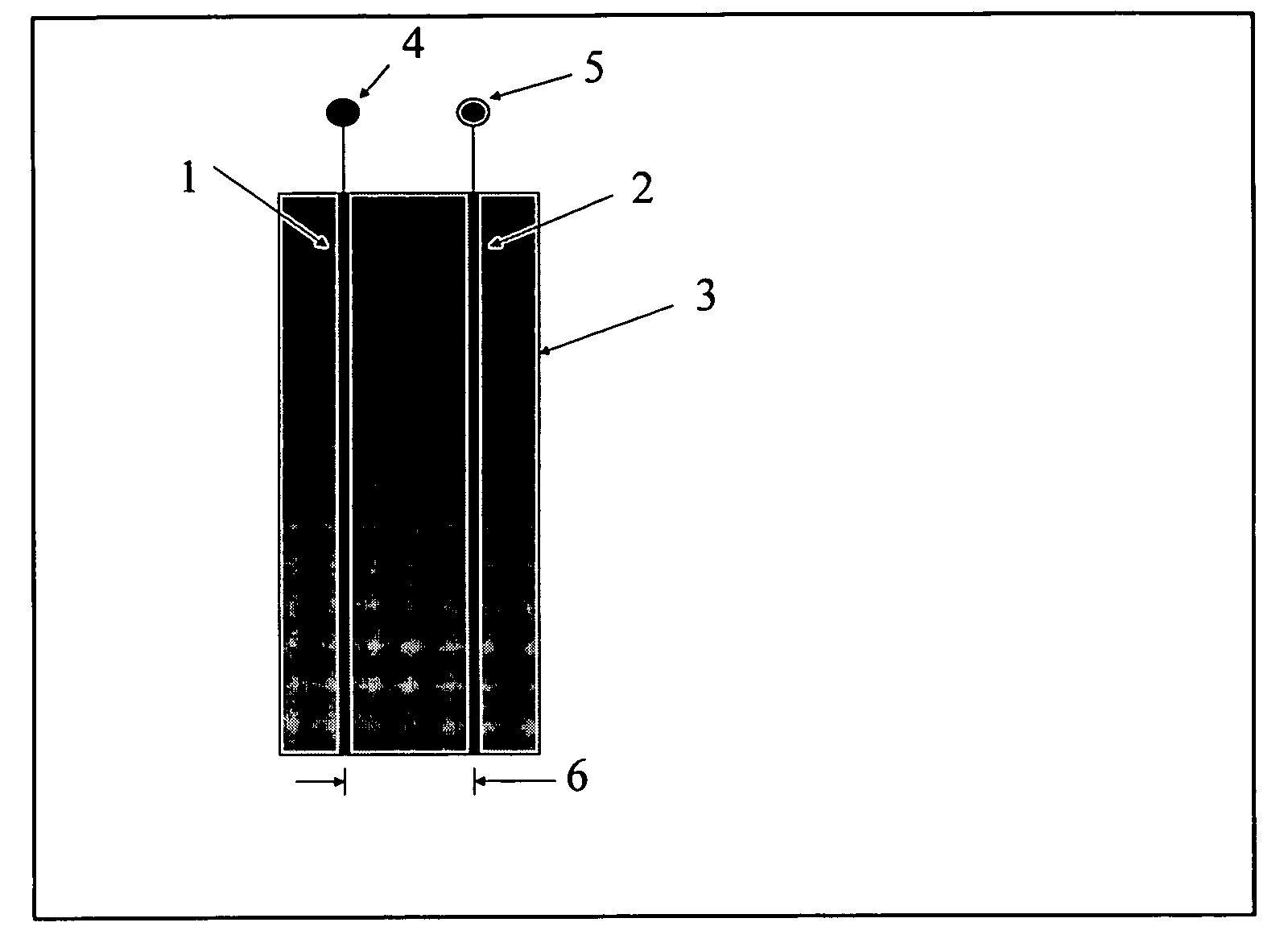 Isolated capacitive fluid level sensor