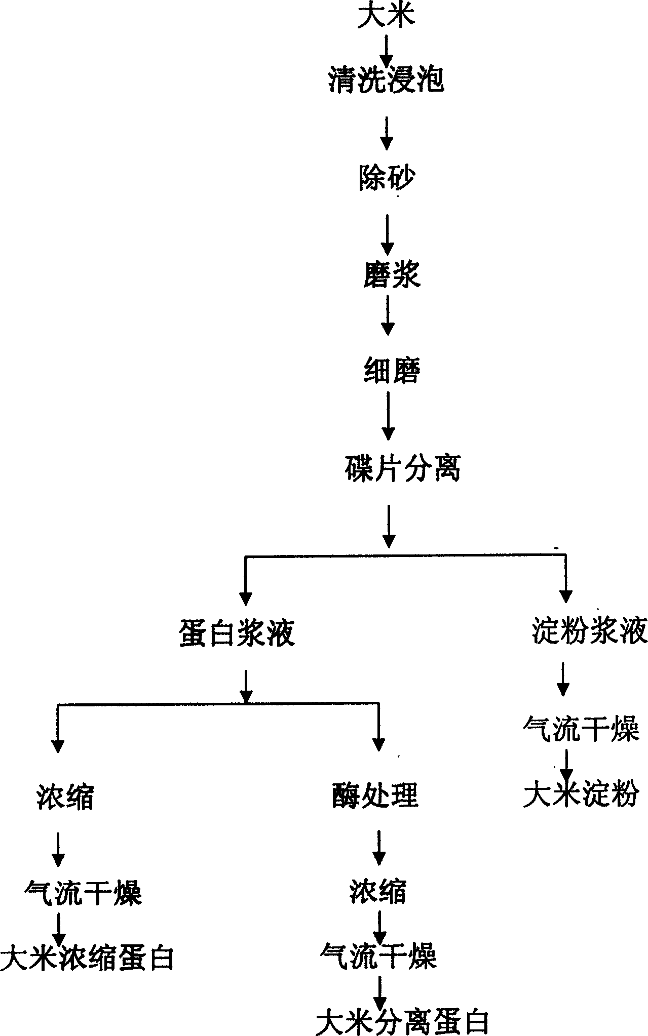 Method for extracting rice protein from rice