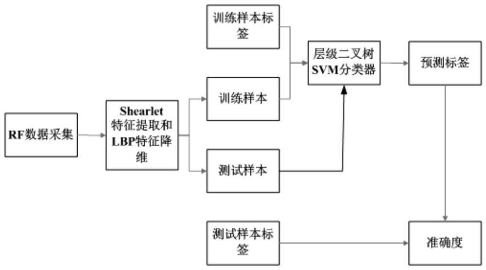 Ultrasonic breast mass grading detection method based on shearlet features and hierarchical binary tree svm classifier