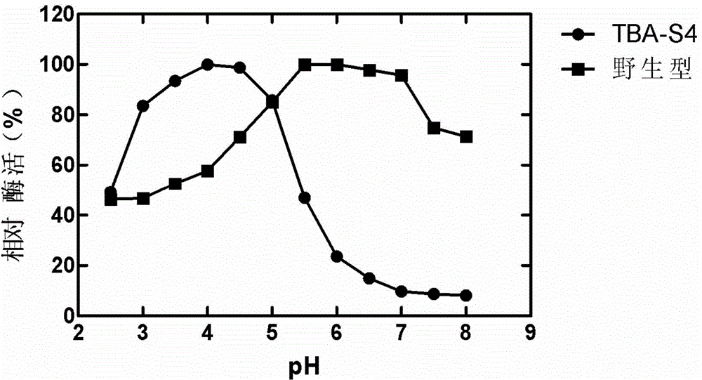 A kind of acid-resistant high-temperature beta-amylase mutant and its application