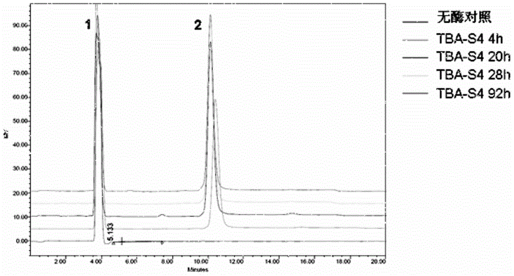 A kind of acid-resistant high-temperature beta-amylase mutant and its application