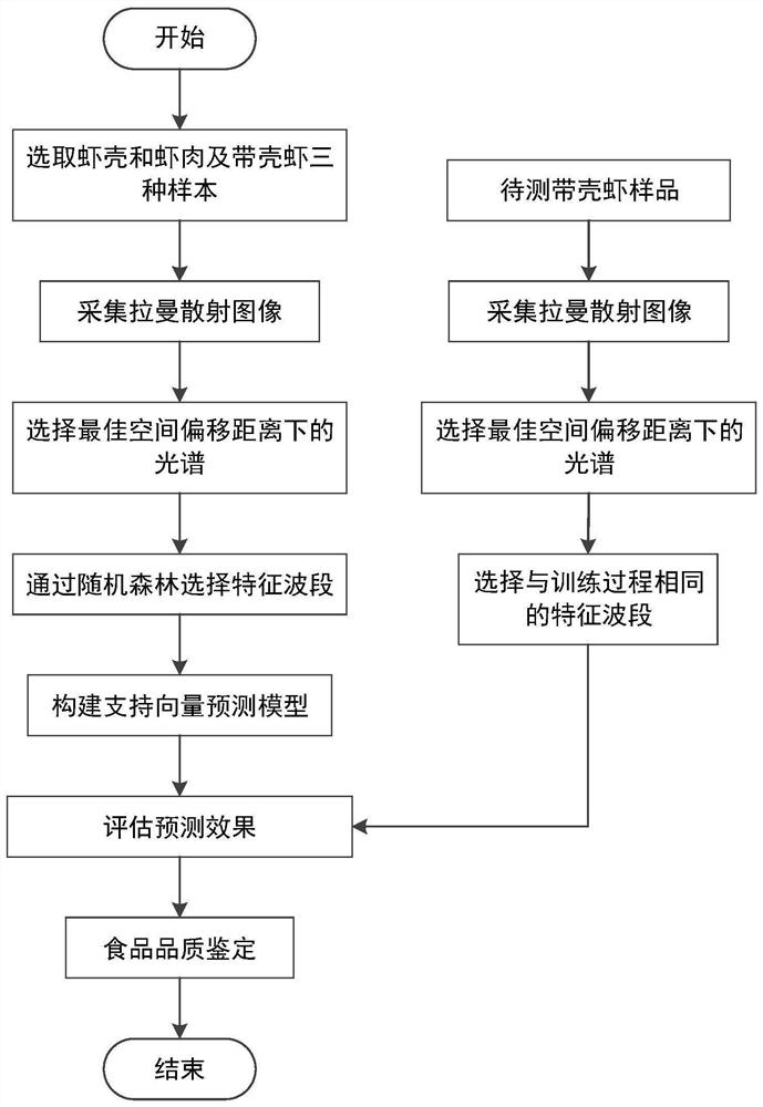 Shrimp meat freshness detection method based on spatial migration Raman spectrum