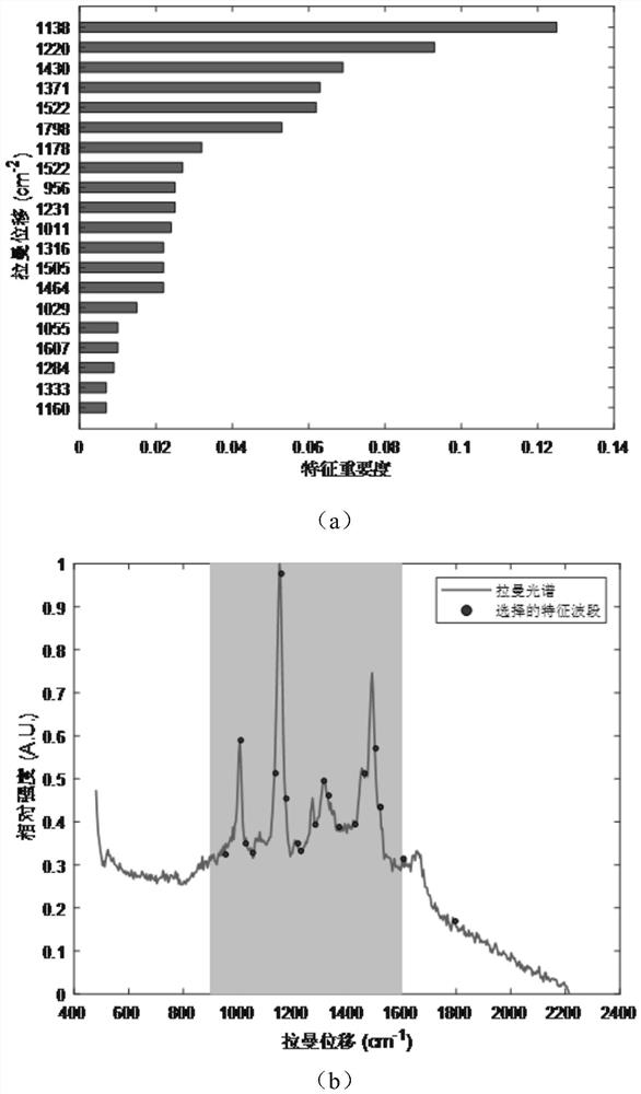 Shrimp meat freshness detection method based on spatial migration Raman spectrum