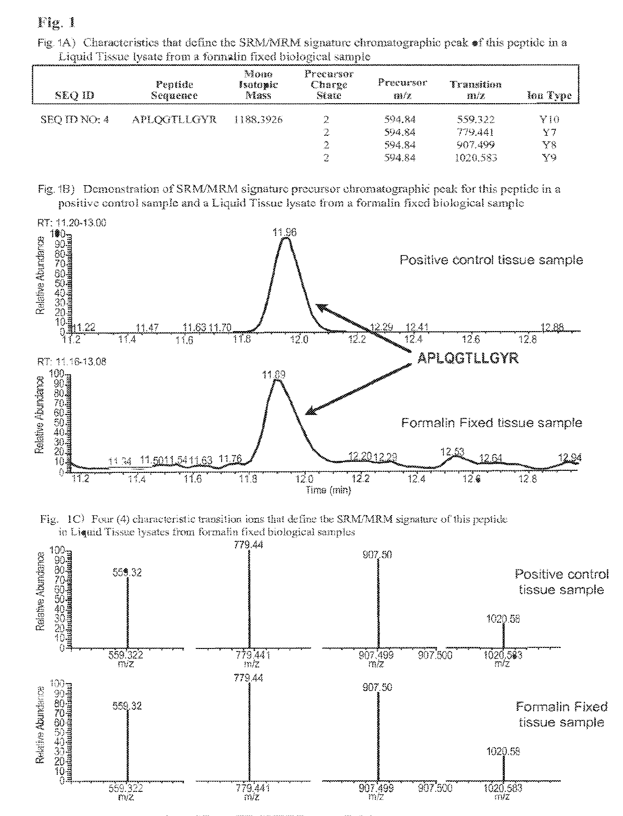 SRM/MRM Assay For The Tyrosine-Protein Kinase Receptor UFO (AXL) Protein