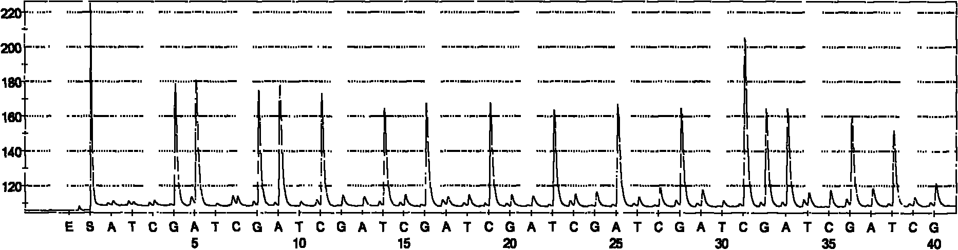 Hepatitis C sequencing and typing kit and detection method thereof