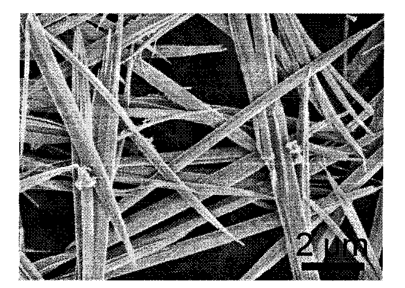 Adjustable-shape fiber containing magnetic or metallic nanocrystalline