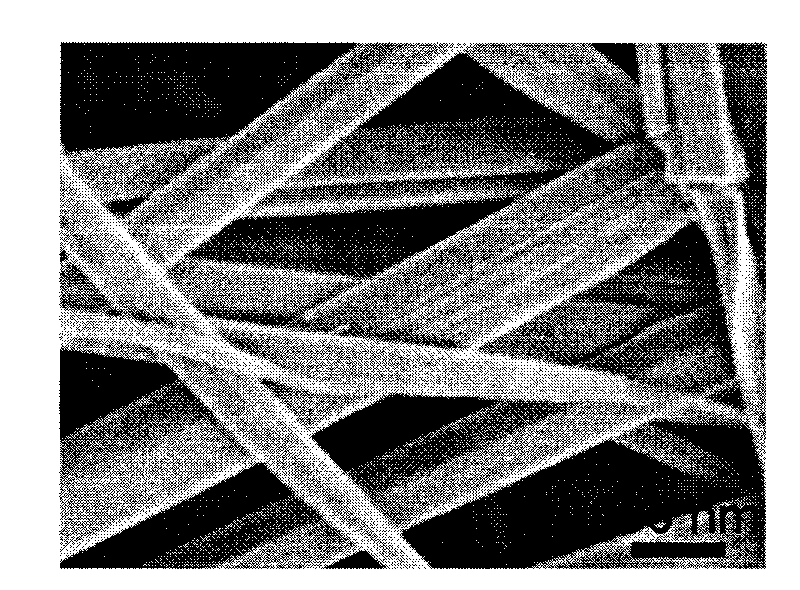 Adjustable-shape fiber containing magnetic or metallic nanocrystalline