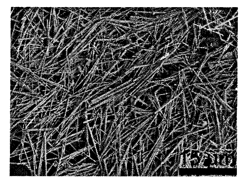 Adjustable-shape fiber containing magnetic or metallic nanocrystalline