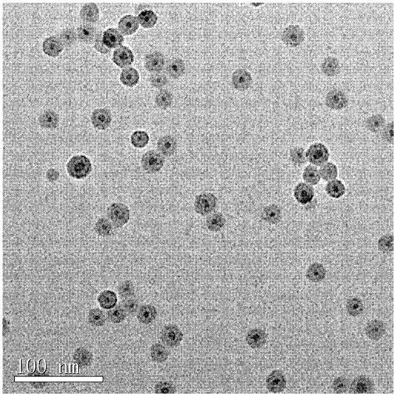 Adapter-modified magneto-optic dual-function contrast agent and preparation method and application thereof