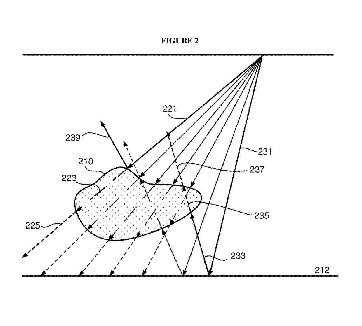 Black hole boundary conditions