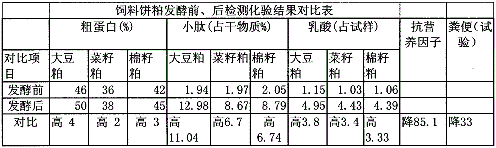 Peptide protein feed and preparation method thereof