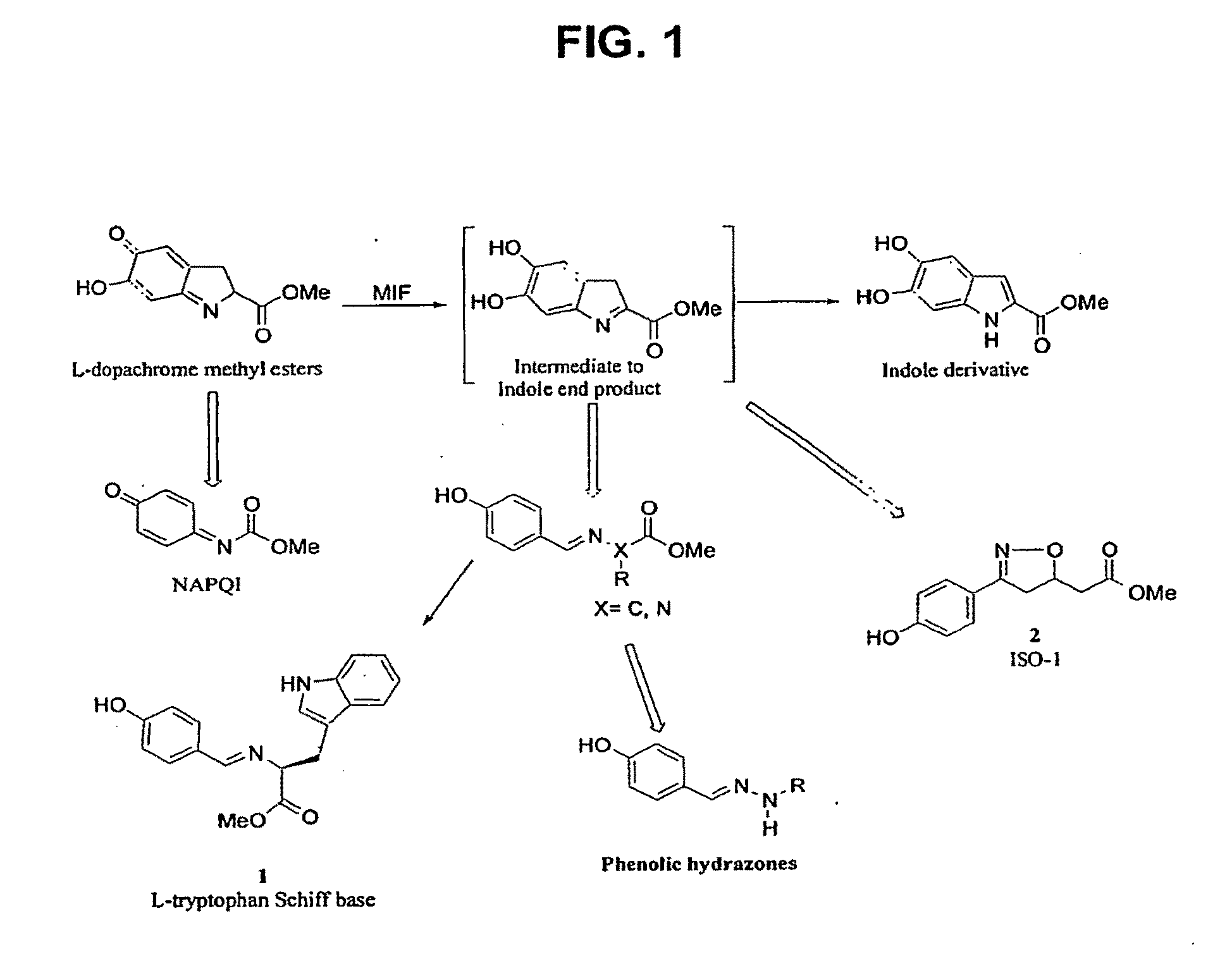 Phenolic Hydrazone Macrophage Migration Inhibitory Factor Inhibitors