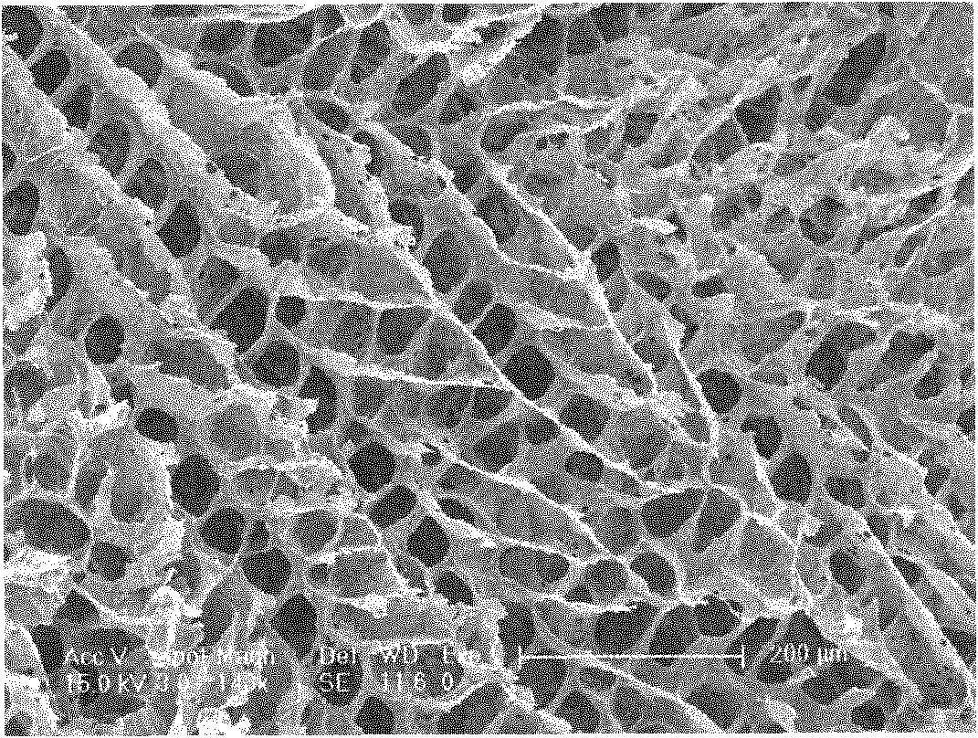 Preparation method for tissue engineering scaffold material