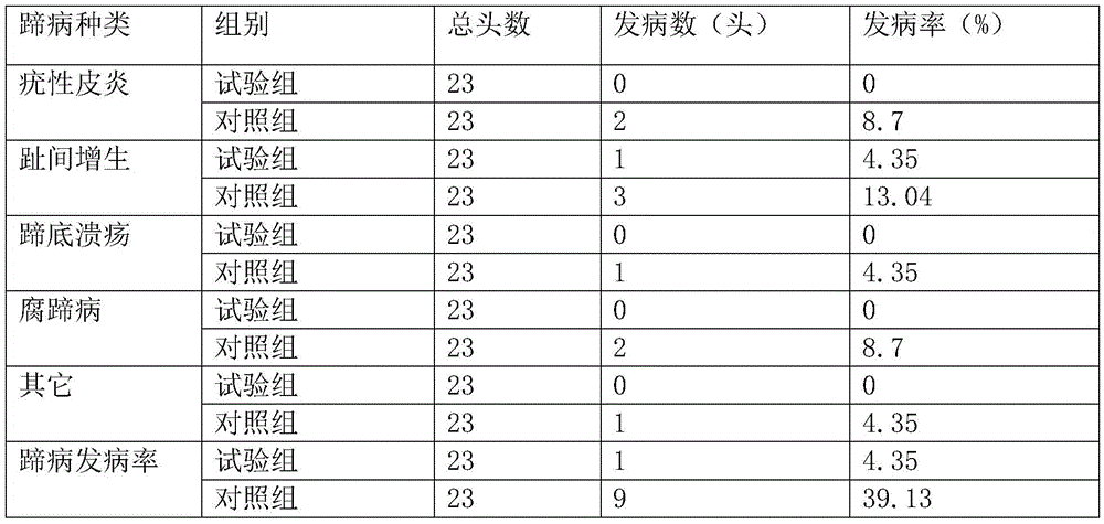 Dairy cow hoof care liquid and preparation method thereof