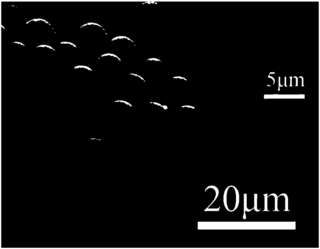 Aggregation-induced emission magnetic fluorescent coding microsphere, preparation method and application thereof