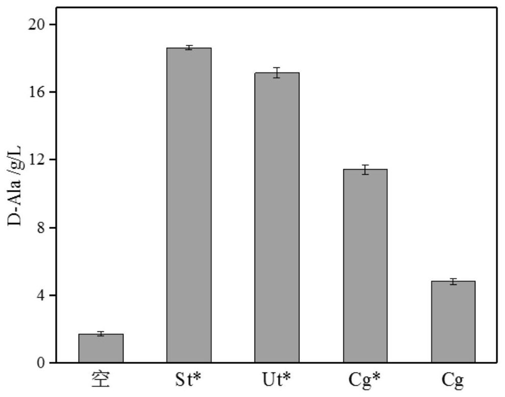 Method for preparing D-alanine by microbial fermentation method