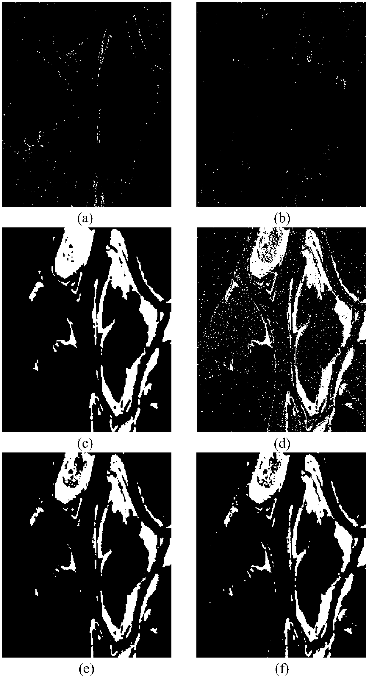 SAR image change detection method based on deep learning and SIFT features