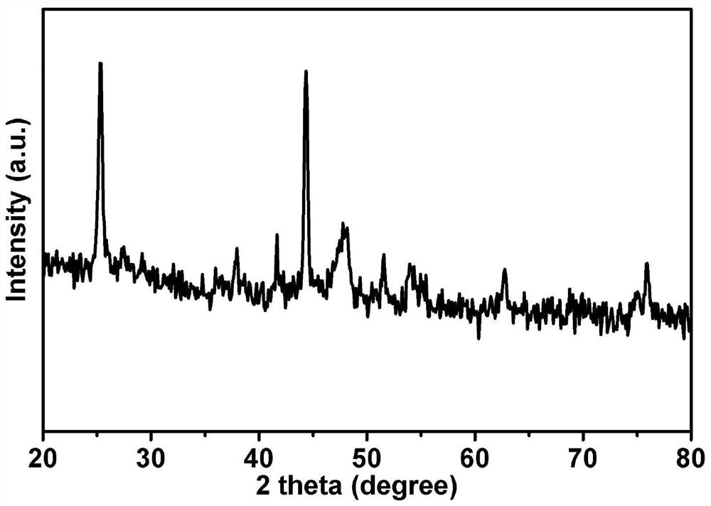 Co dendrite electrocatalyst and preparation method thereof