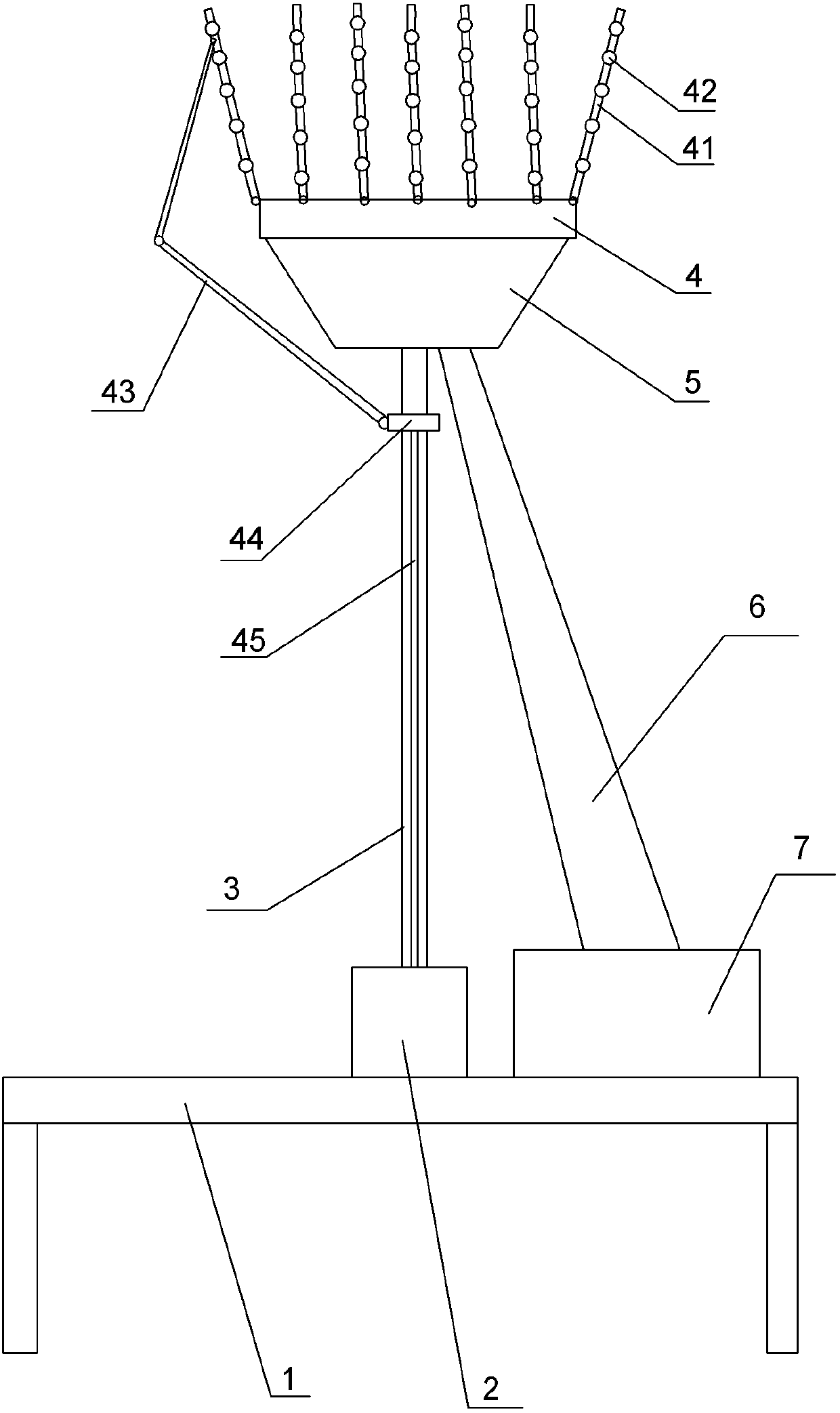 Planting method of phoebe zhennan S. Lee