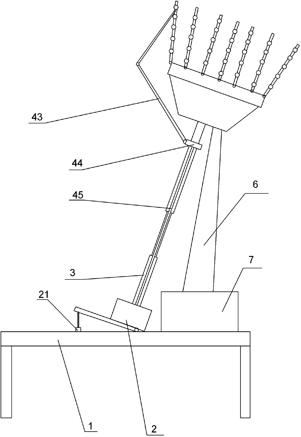 Planting method of phoebe zhennan S. Lee