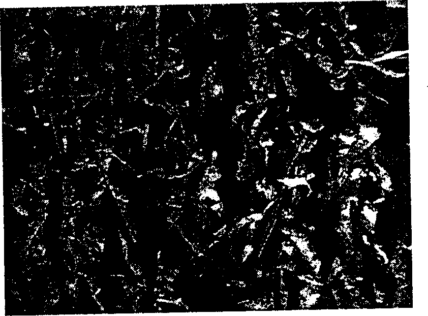 Fibrous composite filtering materials of engine and preparing method thereof