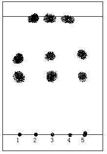 A kind of detection method of sare thirteen flavor penniao preparation